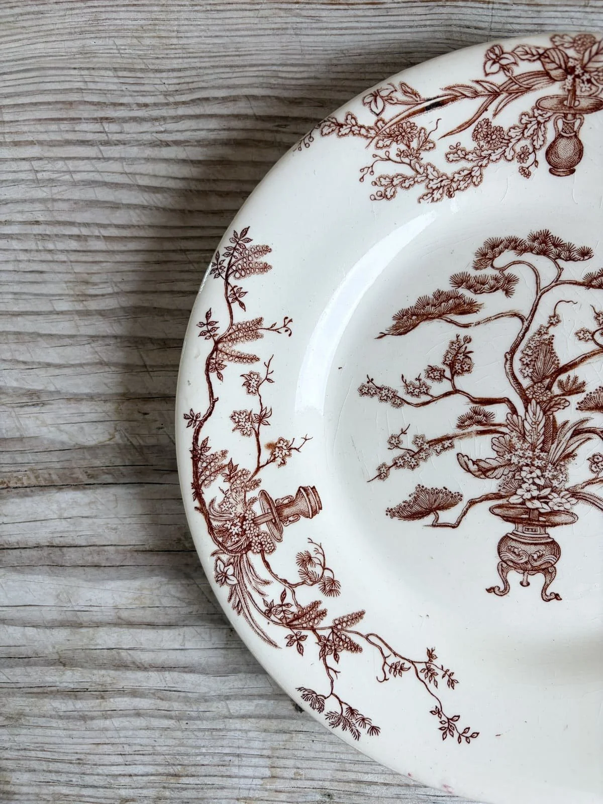 Vintage Terre de Fer French Ironstone Dinner Plates | Brown Floral